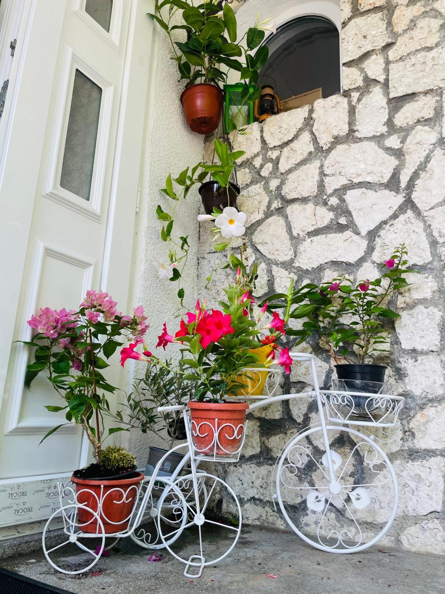 Guest House Blago Varna Ngoại thất bức ảnh